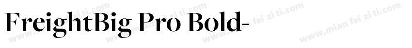 FreightBig Pro Bold字体转换